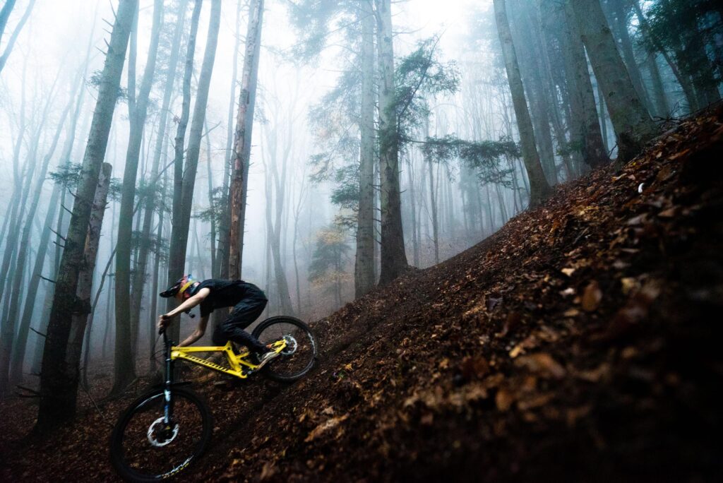 Željko Antić Sessions crew, SSC bikeparks